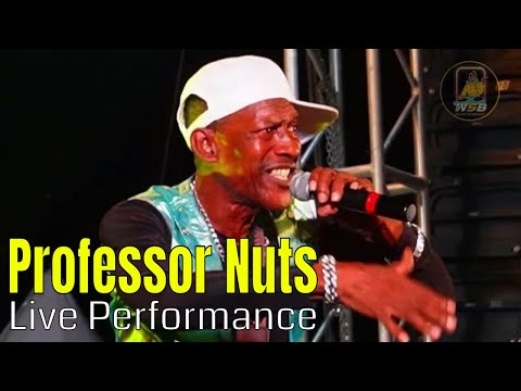 Professor Nuts Get Di Mic N Mash up Mobay Jerk Fest 2023 Live Performance