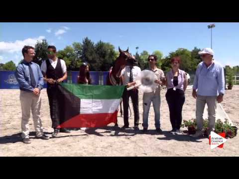 1st place N.9 CS PRINCE BAY - Festival FVG 2015 - Yearling Colts Championship (Class 14)