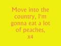 Peaches - The Presidents Of The United States with Lyrics