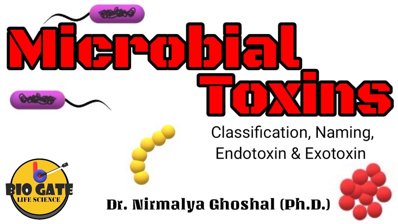 Microbial Toxin: Endotoxin and Exotoxin #toxins