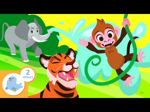🦁🦓 ANIMALES y sus características para niños 🐠🦋 Recopilación