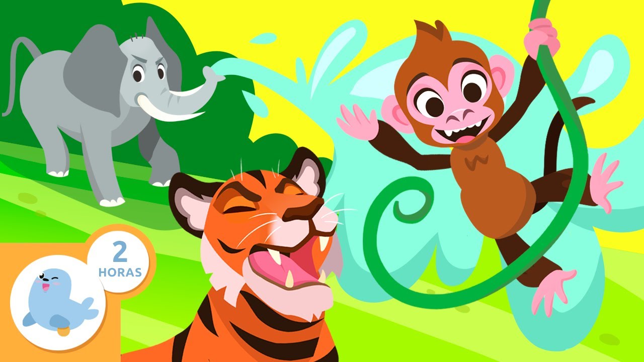🦁🦓 ANIMALES y sus características para niños 🐠🦋 Recopilación