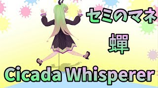 【Chat 雑談】蝉です。|　I'm a cicada  |  蟬．
