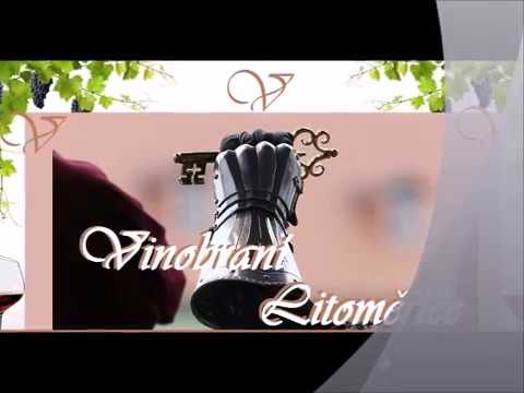 Team revival Znojmo - VINOBRANÍ LITOMĚŘICE 2018