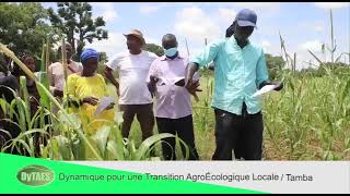 Présentation de la Dytael de Tambacounda