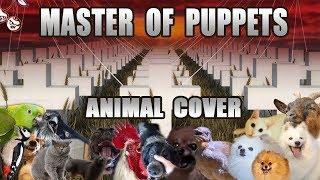 Animallica - Master Of Puppies