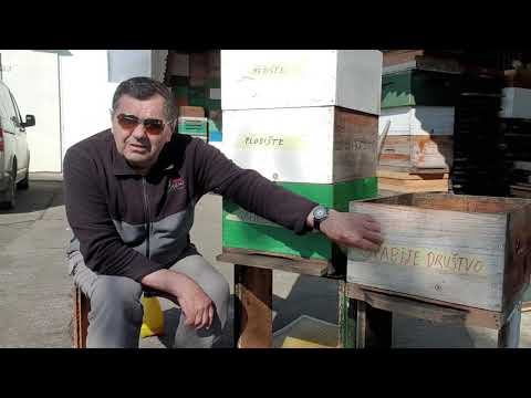 KOSNICE KRCATE PCELA STRESANJE prvi dio.16.04.2021.