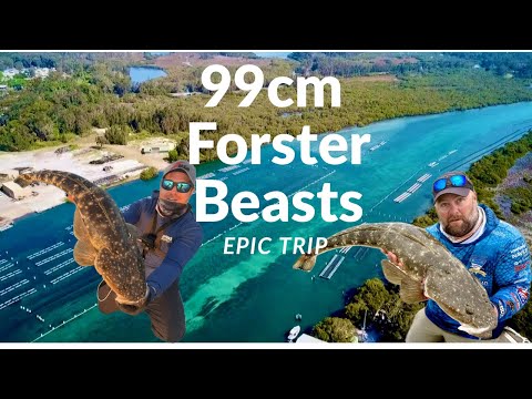 “The 1 Metre Flathead Hunt – 99cm Caught + Multiple Big Fish in Forster-Tuncurry!”