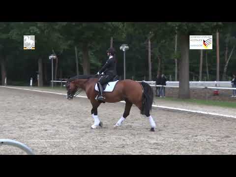 Lissaro van de Helle - Warendorf 2020