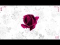 DJ DEEDIR - Rosa Remix feat NEJ' // #Gradur
