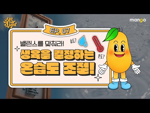 스마트팜의 온도, 습도의 중요성을 쫙쫙 모아놓은 [스팜 Light] EP.07