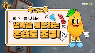 스마트팜의 온도, 습도의 중요성을 쫙쫙 모아놓은 [스팜 Light] EP.07
