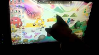preview picture of video 'Cat chasing mouse on computer screen'