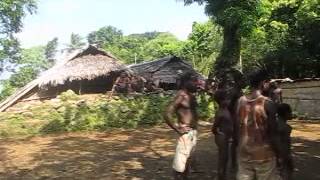 preview picture of video 'Bunlap custom(?) village, Pentecost island, Vanuatu.'