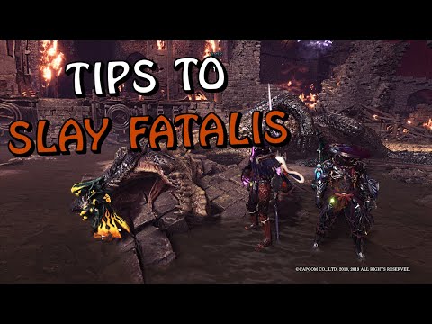 Tips to Slay Fatalis | A Guide Breakdown of Each Phase