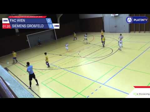 Tor -  FAC Wien / Siemens Großfeld am 06.12.2015 12:11