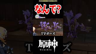 【原神】木君 渾身のバグお見舞い #原神 #ねねべべ #shorts