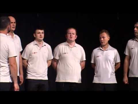 Klapa Slavonica - Ori zelja