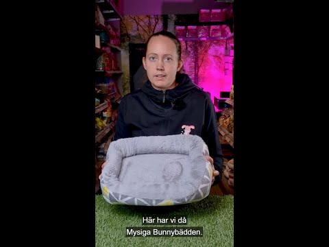 Mysiga Marsvinsbädden Oval 38 cm - Video