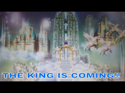 Witness21  2018 12 29