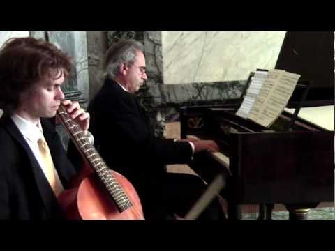 Franz Schubert : Sonata for arpeggione & fortepiano - 1. Allegro moderato