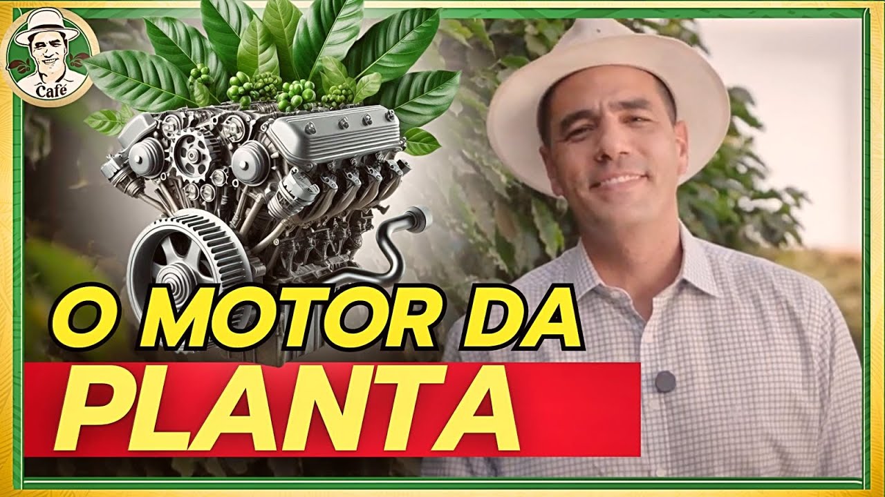 Uma forma fácil de entender os nutrientes do café