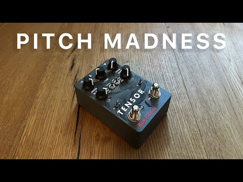 Red Panda Tensor Tape Delay Bild 2