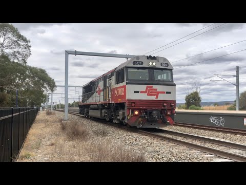 SCT - Light Engine Movement - SCT002