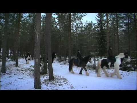 PowerPark, Aktiviteetit