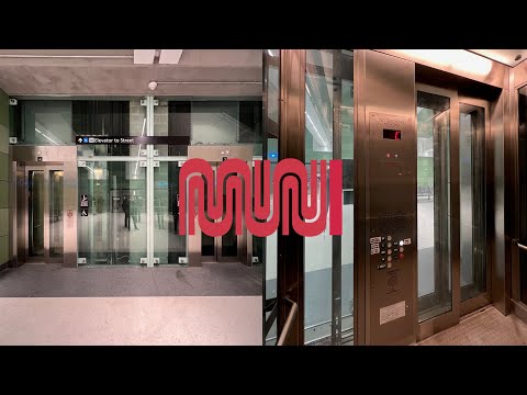 Fast Schindler Traction [Street Level] Elevators - Chinatown/Rose-Pak Station - San Francisco, CA