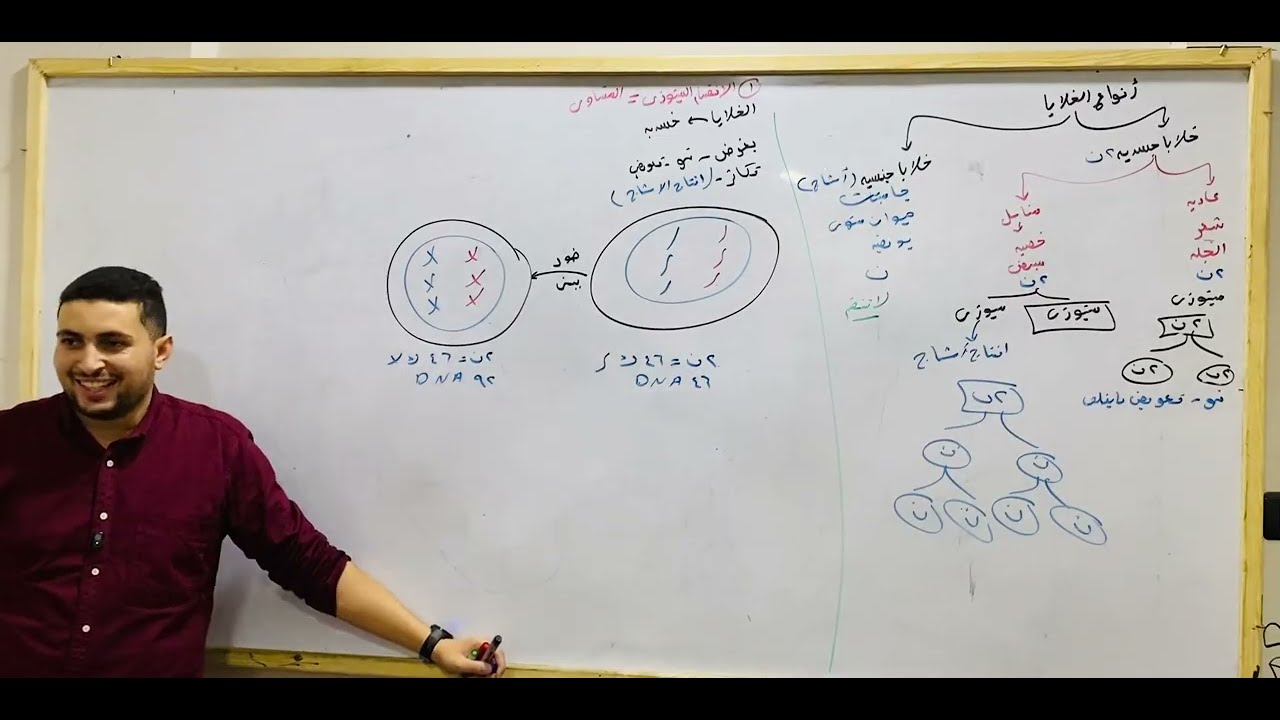 🧬 الانقسام الميوزي والميتوزي وأنواع الخلايا | تأسيس التكاثر (الجزء الثاني) | 