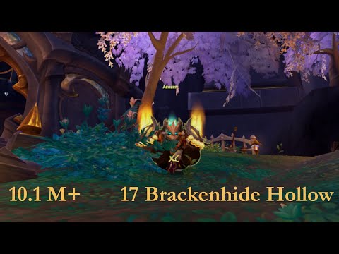 10.1.5 Mythic Plus | Windwalker Monk | 17 Brackenhide Hollow