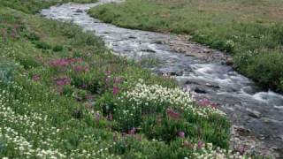 Ayumi Hamasaki- for my dear...