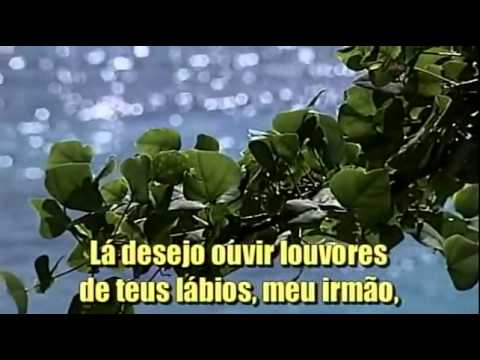 561 - No Celeste Lar Glorioso - HINÁRIO ADVENTISTA