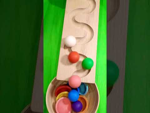 Rainbow Wooden Marbles vs Cow Reverse