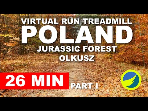 VIRTUAL RUN TREADMILL, POLAND - Jurassic Forest, Olkusz