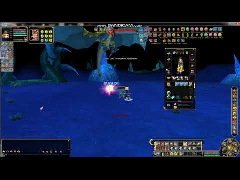 Insanity Flyff Slayer Damage Test