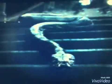 Komsi kamsa קליפ חדש שלי