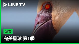 【完美星球 第1季｜A Perfect Planet S1】預告：歷時1,113天，捕捉超過3,000小時原始鏡頭，體驗自然與人類間千絲萬縷的極致視覺盛宴！| LINE TV 共享追劇生活