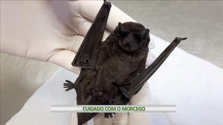 Miniatura do vídeo