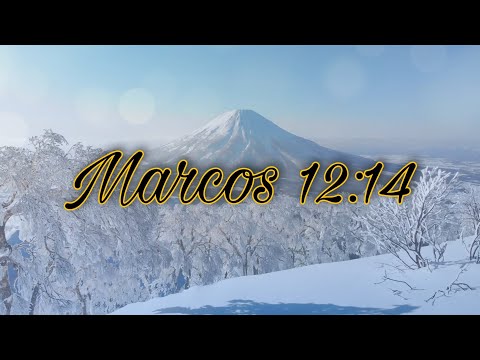 Versículo 0048: Marcos 12:14 (JESÚS Somos tus Instrumentos)