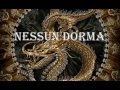 Nessun Dorma ("Turandot" by Puccini ) Marino ...
