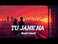 Tu Jane Na Atif Aslam Slowed And Reverb Lofi