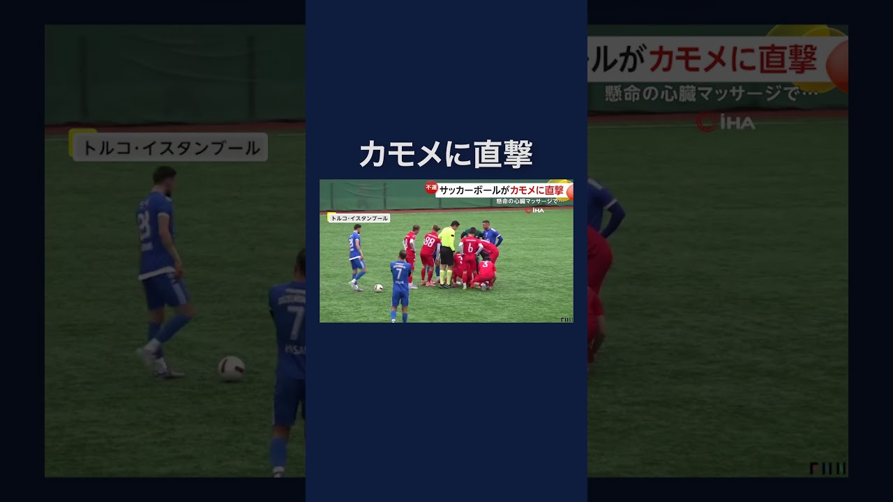 試合中にサッカーボールがカモメを直撃…回復の奇跡 トルコ　#shorts