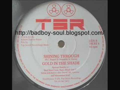 Gold In The Shade Shining Through (TSR( 1990