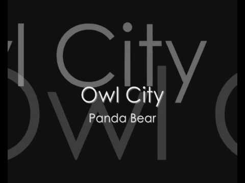 Panda Bear (Owl City) lyrics