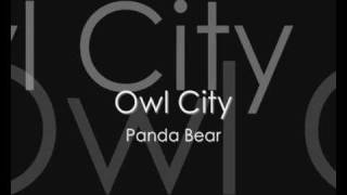 Panda Bear (Owl City) lyrics