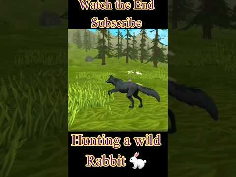 Wolf hunting Rabbit #youtubeshorts #hunting