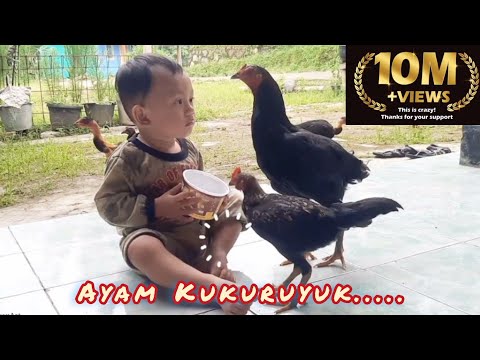 KEENJOY VS AYAM | LAGU AYAM KUKURUYUUK 🎶 Nursery Rhymes and Kids Song Bahasa Indonesia