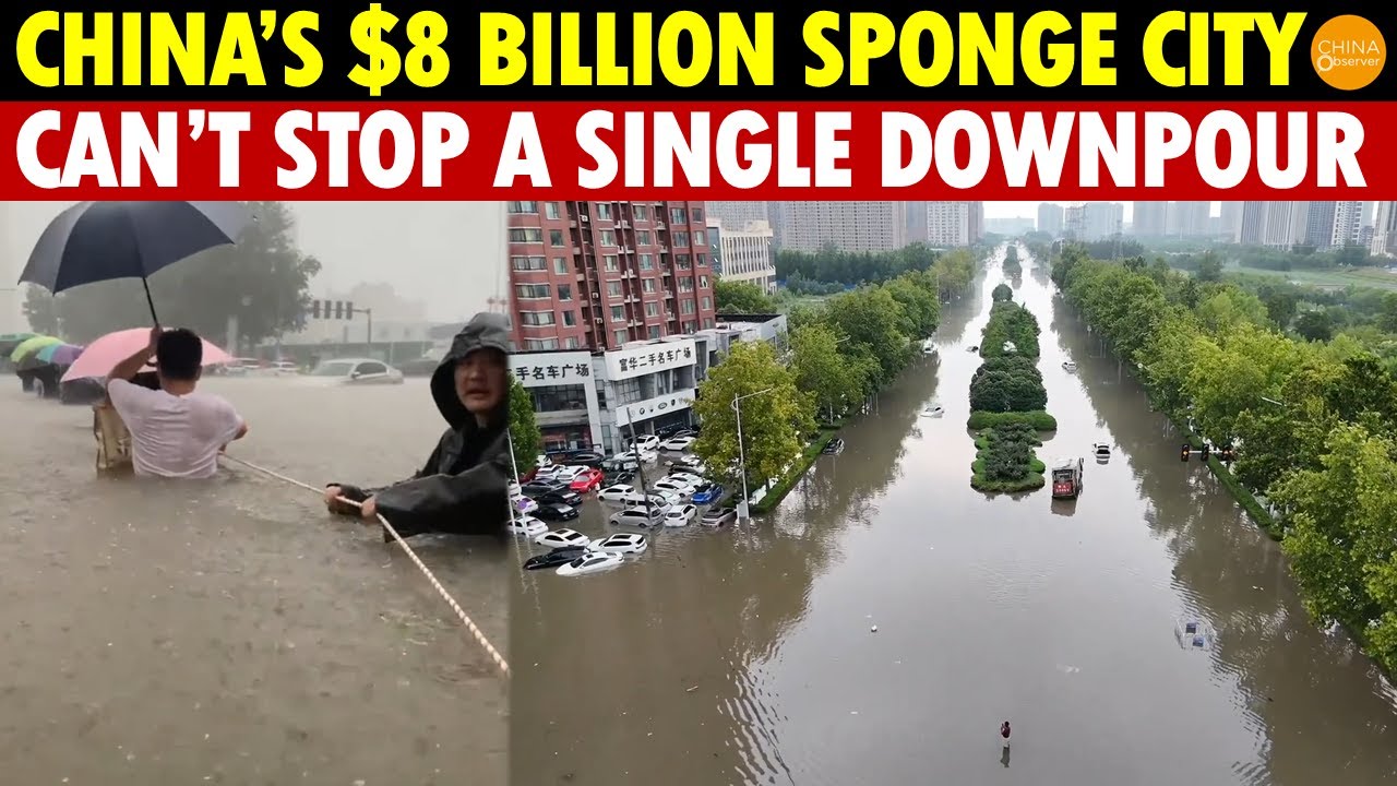 China Spends $8 Billion on "Sponge City," Yet It Can’t Stop a Single Downpour